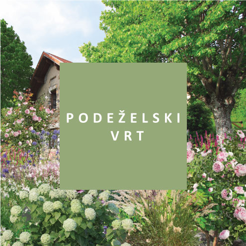 podeželski vrt, načrt za vrt, krajinska arhitektura, oblikovanje vrtov